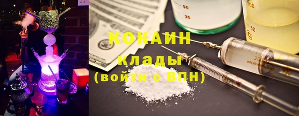 индика Елизово