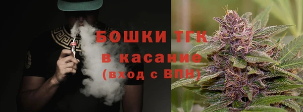 ECSTASY Ельня