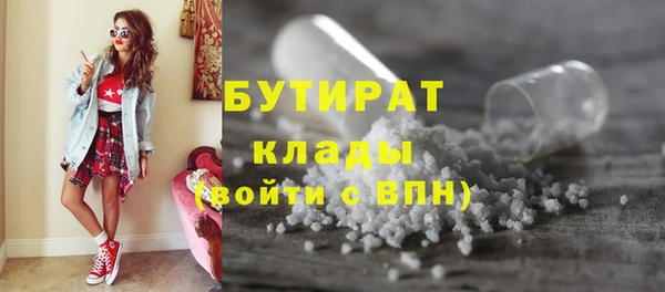 индика Елизово