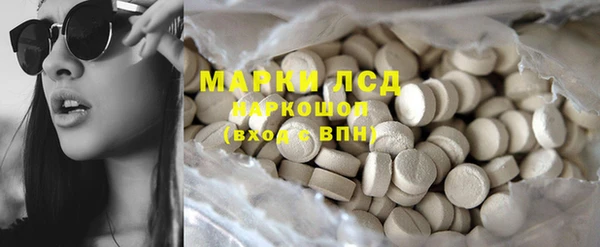 индика Елизово