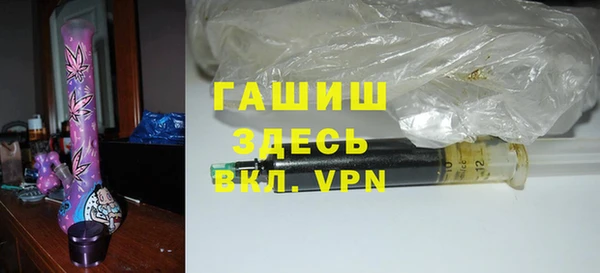 индика Елизово