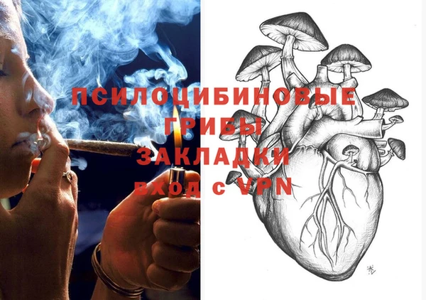ECSTASY Ельня