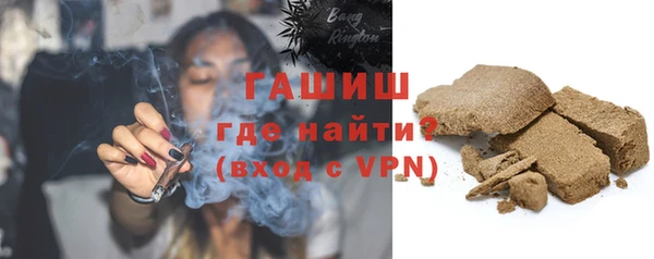 индика Елизово