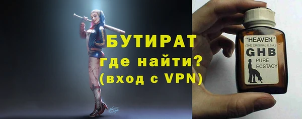 индика Елизово