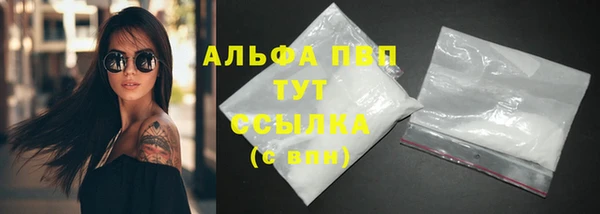 индика Елизово