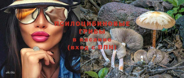 индика Елизово