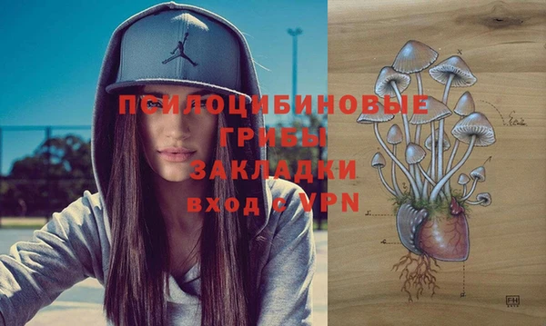 ECSTASY Ельня