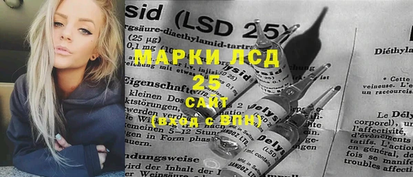 индика Елизово