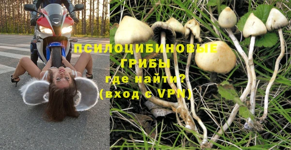 индика Елизово