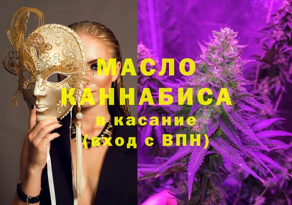 индика Елизово