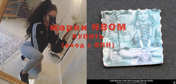индика Елизово