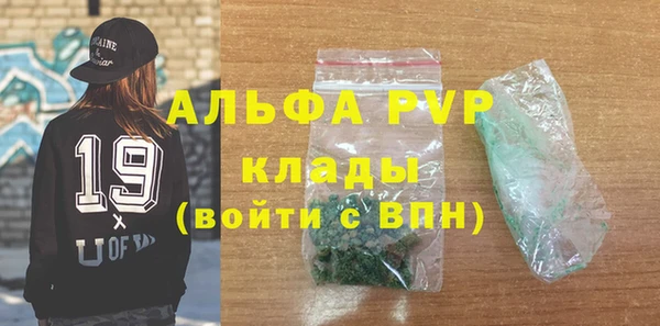 индика Елизово