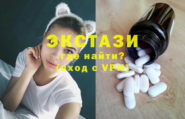 ECSTASY Ельня