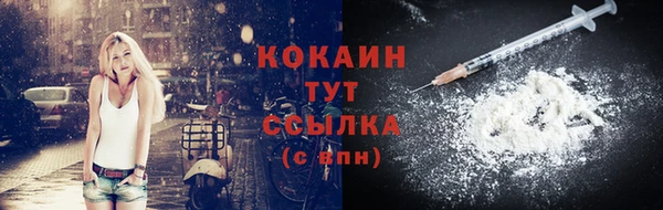 индика Елизово
