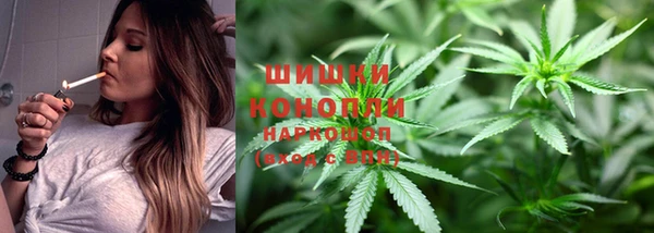 индика Елизово